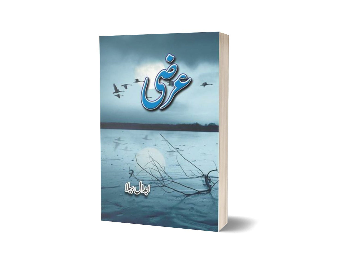 Arzi By Abdaal Bela-Books-Maktaba Sultan e Alamgir