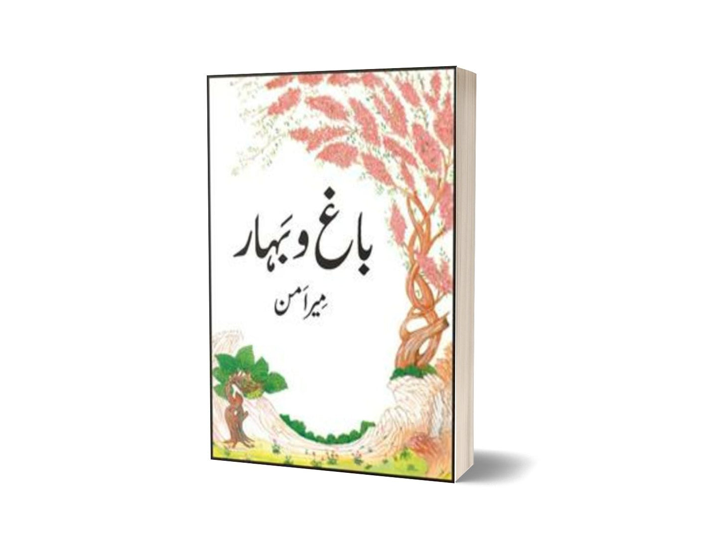Bagho Bahaar Qisa Chahar Darvesh By Mir Aman-Books-Maktaba Sultan e Alamgir
