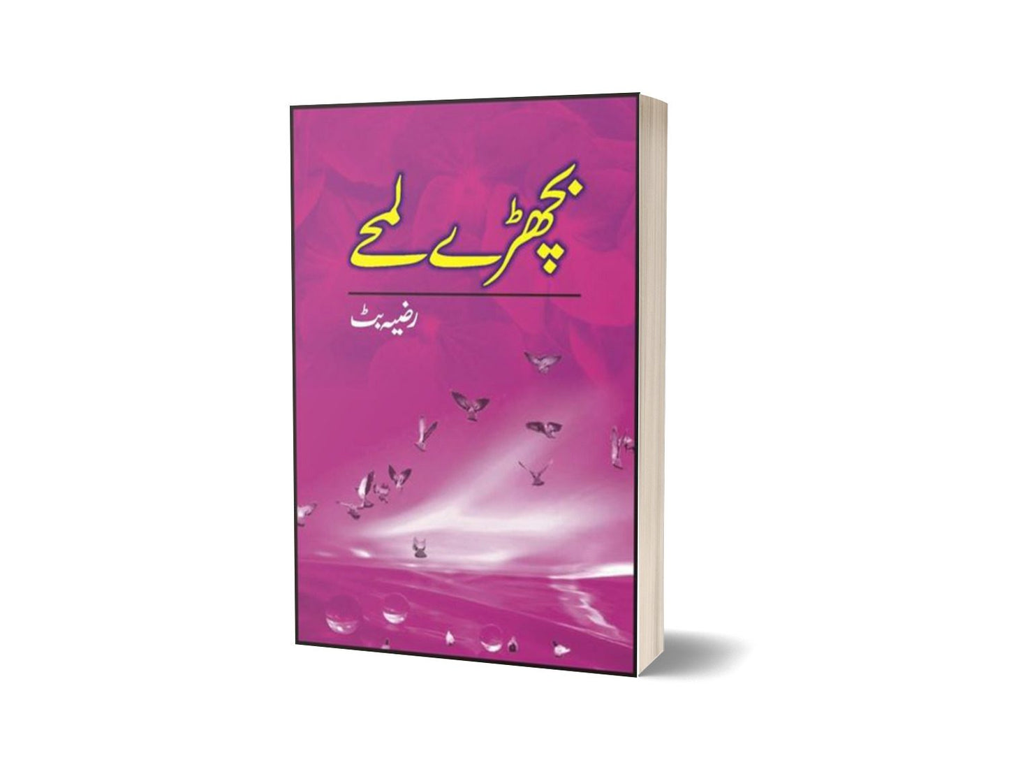 Bichhray Lumhay By Razia Butt-Books-Maktaba Sultan e Alamgir