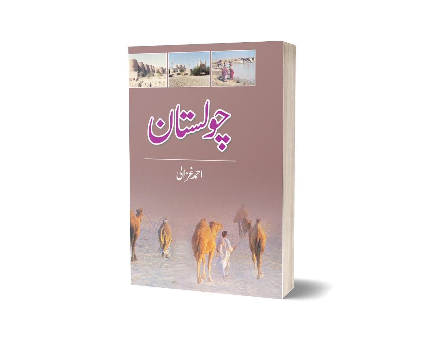 Cholistan By Ahmad Ghazli-Books-Maktaba Sultan e Alamgir