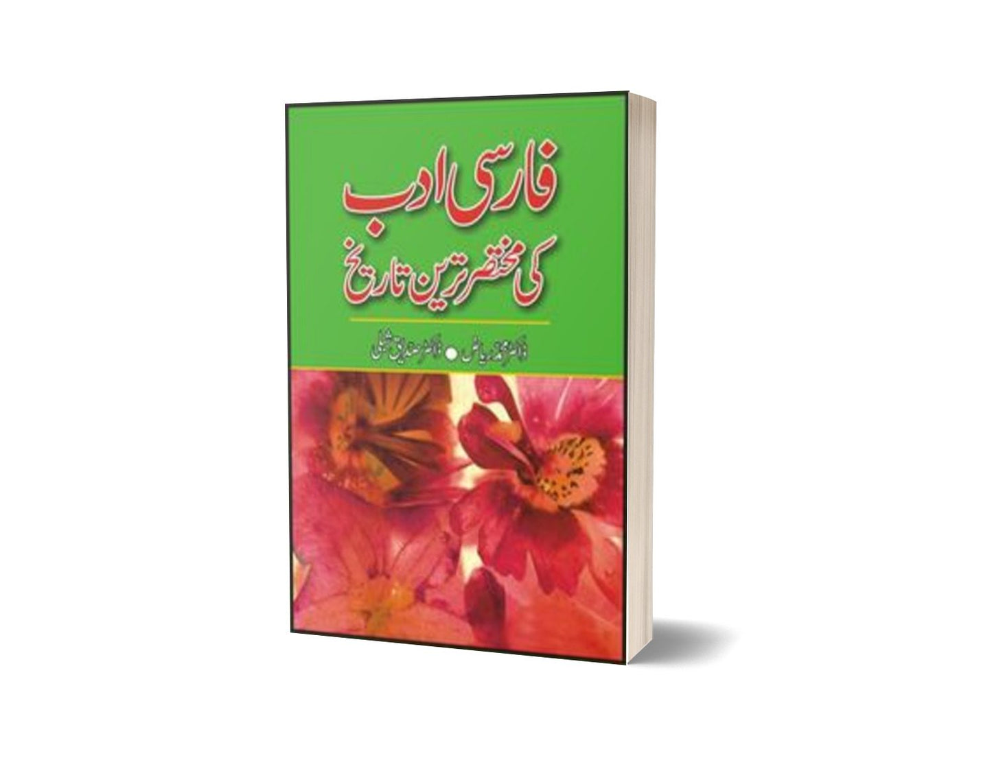 Farsi Adab Ki Mukhtaser Tareen Tarikh By Dr. Muhammad Riaz; Dr. Siddiq Shibli-Books-Maktaba Sultan e Alamgir