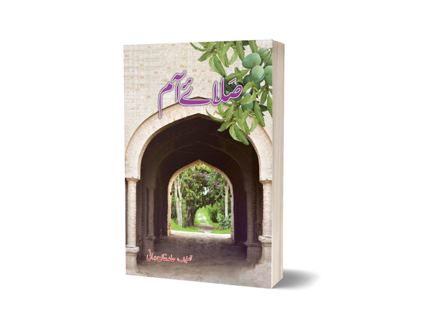 Sala – Aam By Hameed Khan-Books-Maktaba Sultan e Alamgir