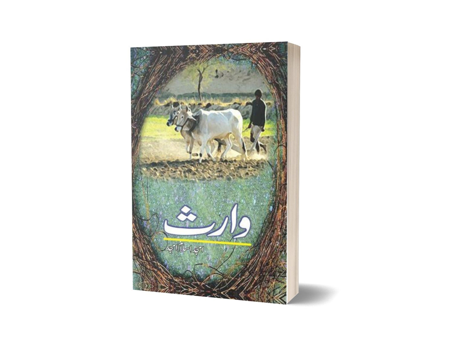 Waaris By Amjad Islam Amjad-Books-Maktaba Sultan e Alamgir