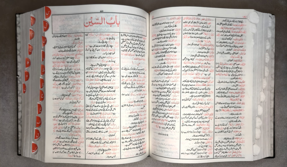 القاموس الوحید - عربی اردو لغت-Books-Maktaba Sultan e Alamgir