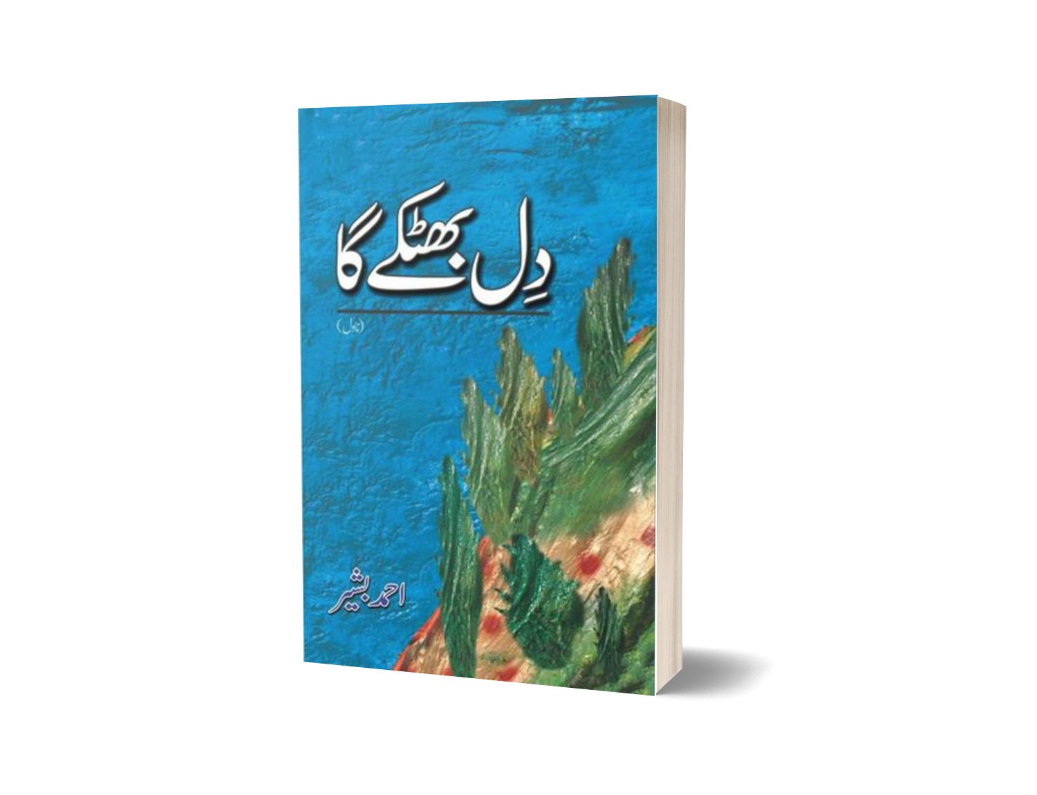 Dil Bhatkay Ga By Ahmad Bashir-Books-Maktaba Sultan e Alamgir