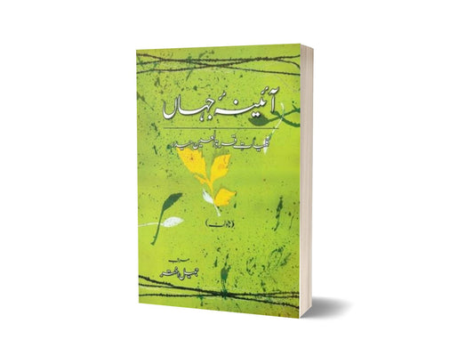 Aaina-e-Jahaan Novelette By Quratulain Haider, Jameel Akhtar-Books-Maktaba Sultan e Alamgir