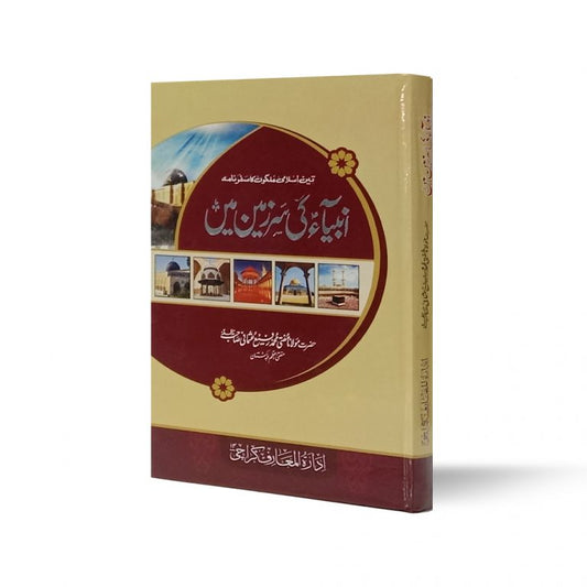 Anbiya ki Sarzameen mein-Books-Maktaba Sultan e Alamgir