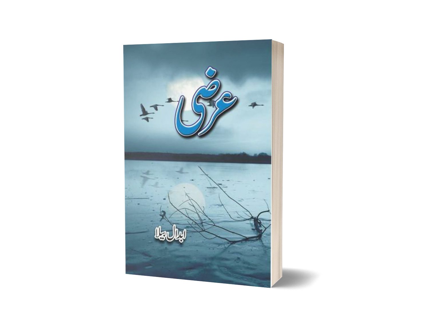 Arzi By Abdaal Bela-Books-Maktaba Sultan e Alamgir