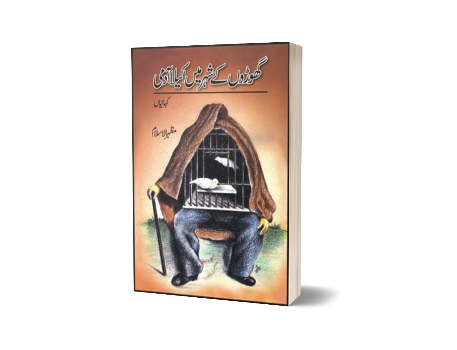 Ghoron Key Shehr Main Akaila Aadmi By Mazhar Ul Islam-Books-Maktaba Sultan e Alamgir