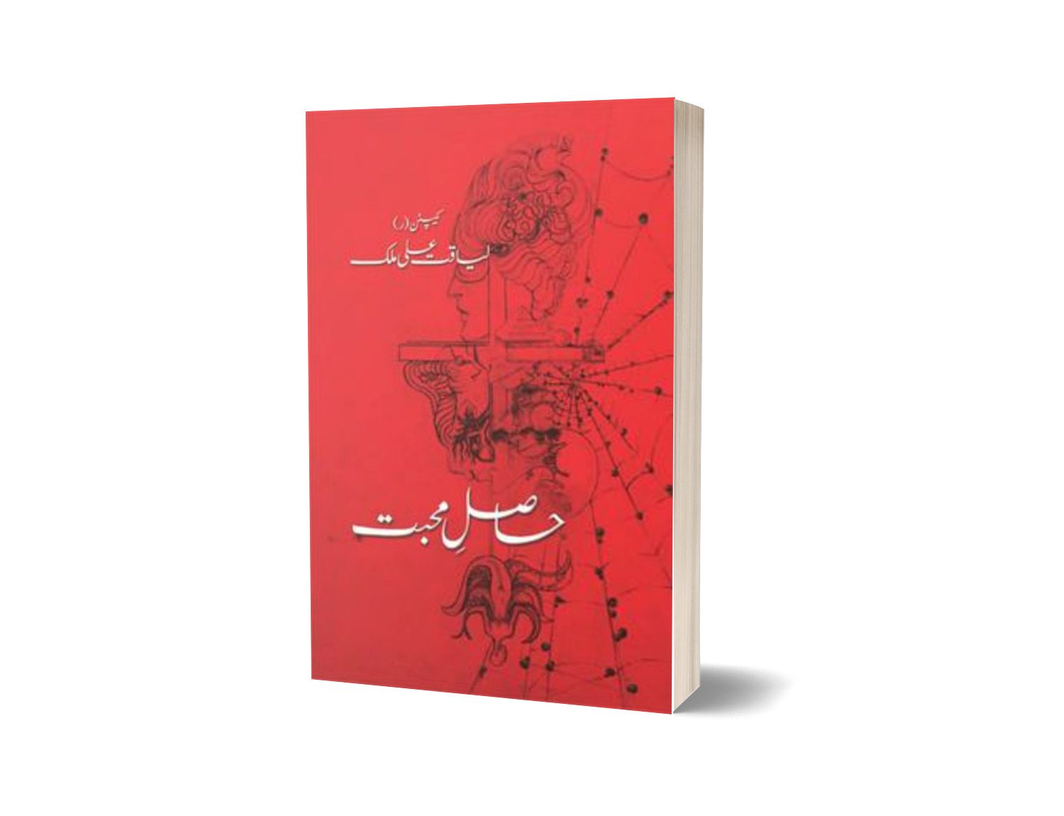 Haasil-E-Mohabbat By Liaqat Ali Malik-Books-Maktaba Sultan e Alamgir