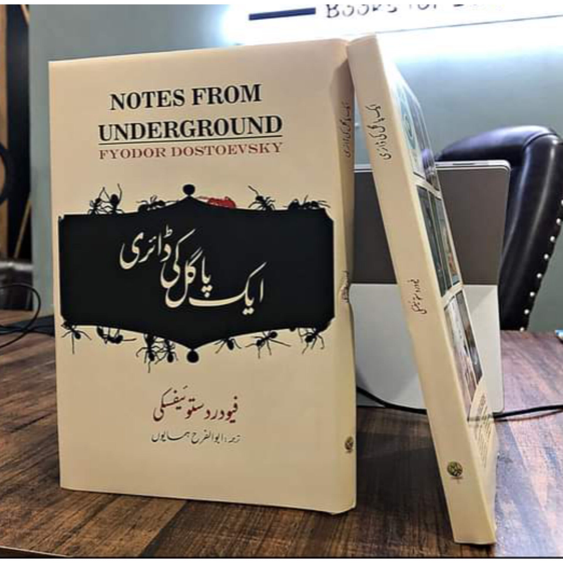 AIK PAGAL KI DIARY-Books-Maktaba Sultan e Alamgir