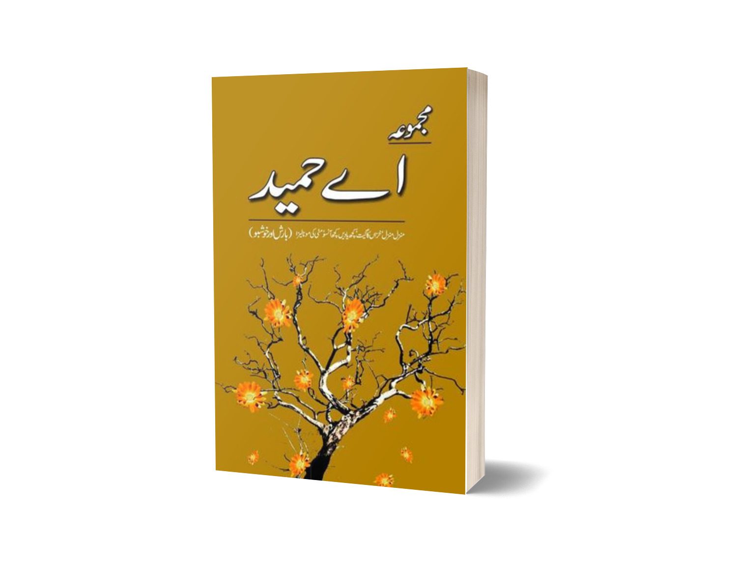Majmua A Hameed Manzil Manzil By A Hameed-Books-Maktaba Sultan e Alamgir