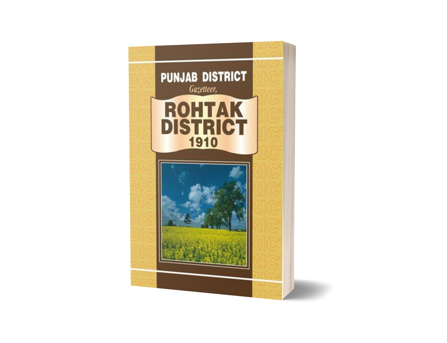 Punjab District Gazetteer Rohtak District 1910 By Punjab Government-Books-Maktaba Sultan e Alamgir