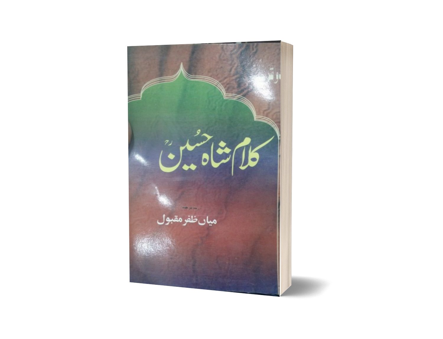 Shah Hussain By Mian Zafar Maqbool-Books-Maktaba Sultan e Alamgir