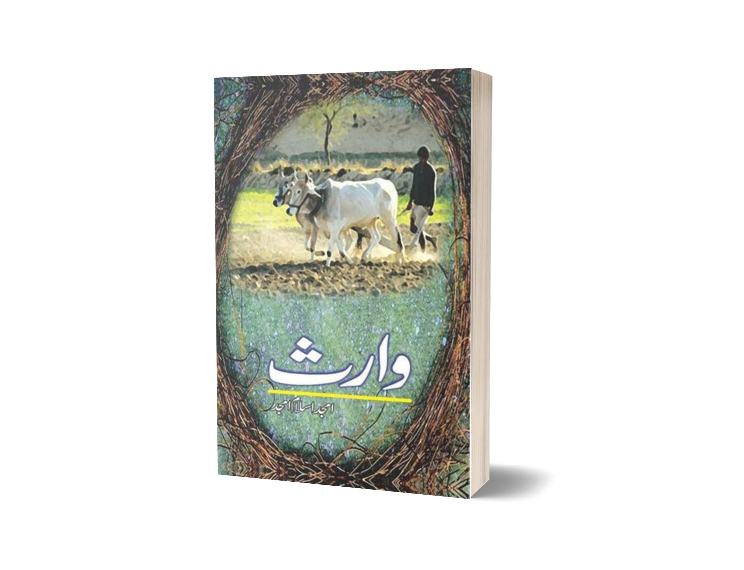 Waaris By Amjad Islam Amjad-Books-Maktaba Sultan e Alamgir