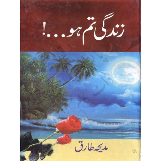 ZINDAGI TUM HO-Books-Maktaba Sultan e Alamgir