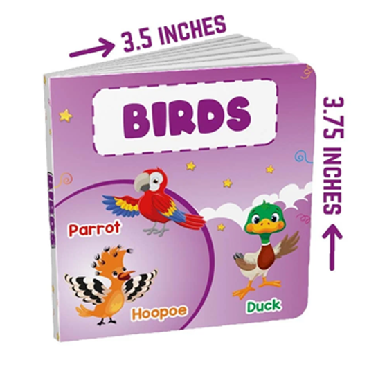 MY TINY BOARD BOOKS: BIRDS-Books-Maktaba Sultan e Alamgir