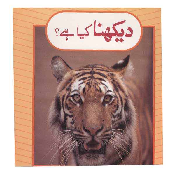 Daikhna Kia Hai?-Books-Maktaba Sultan e Alamgir