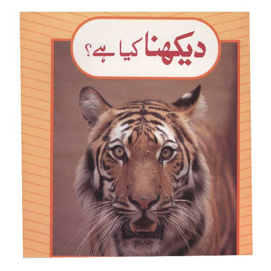 Daikhna Kia Hai?-Books-Maktaba Sultan e Alamgir