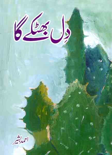 Dil Bhatkay Ga-Books-Maktaba Sultan e Alamgir
