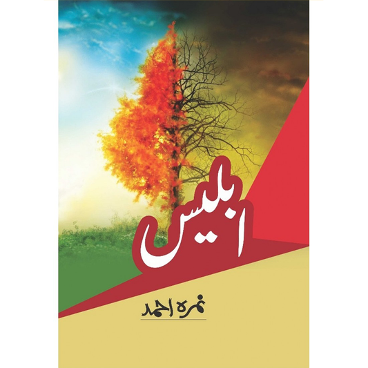 IBLEES-Books-Maktaba Sultan e Alamgir