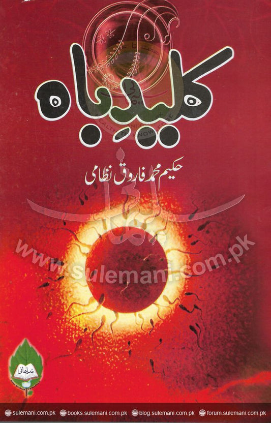 Key-ring-Books-Maktaba Sultan e Alamgir