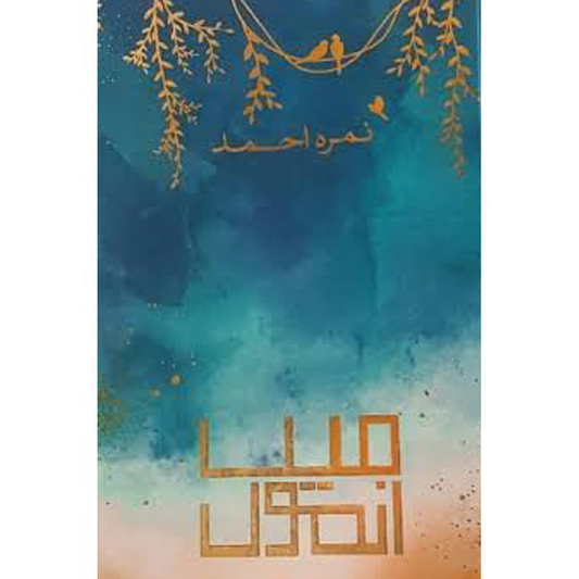 mein anmol-Books-Maktaba Sultan e Alamgir