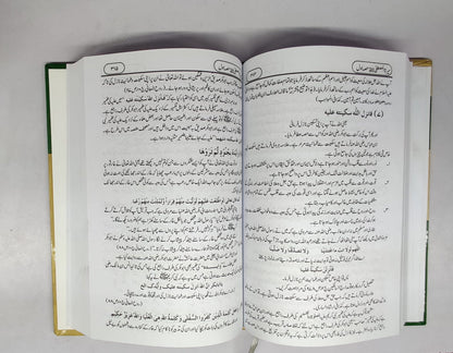 سیرت المصطفیٰ (صلی اللہ علیہ وسلم)-Books-Maktaba Sultan e Alamgir