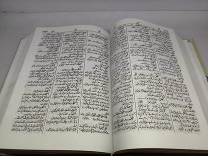 مصباح اللغات (عربی - اُردو ڈکشنری)-Books-Maktaba Sultan e Alamgir