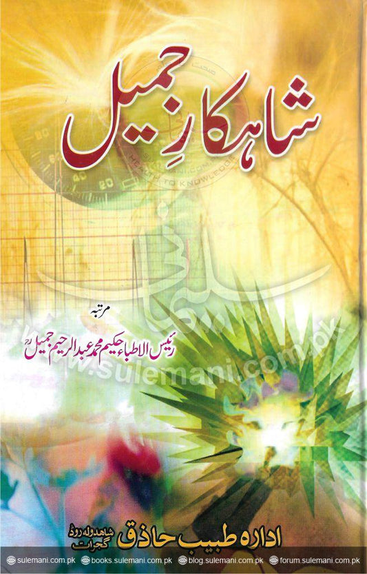 Masterpiece Jameel-Books-Maktaba Sultan e Alamgir